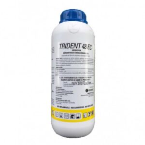 TRIDENT 48 EC - 1 LT